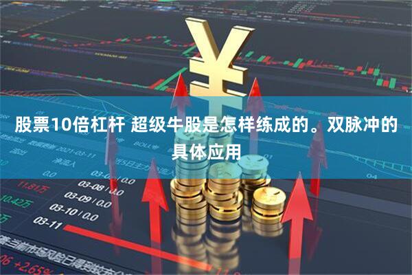 股票10倍杠杆 超级牛股是怎样练成的。双脉冲的具体应用