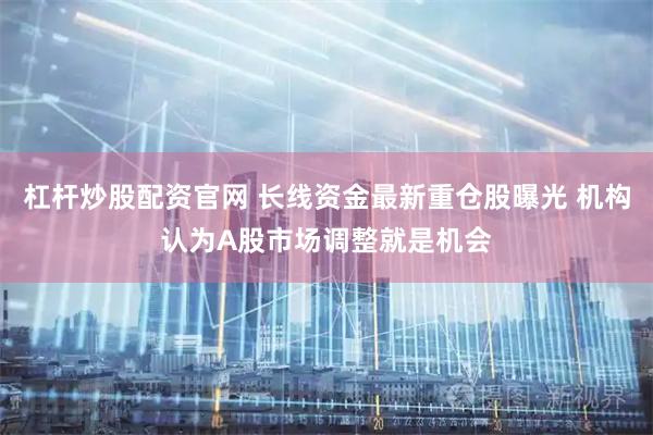 杠杆炒股配资官网 长线资金最新重仓股曝光 机构认为A股市场调整就是机会